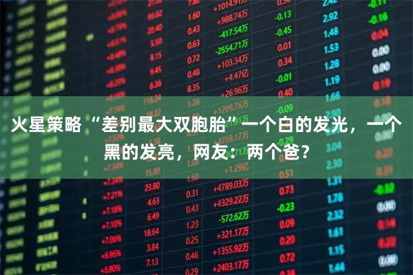 火星策略 “差别最大双胞胎”一个白的发光，一个黑的发亮，网友：两个爸？