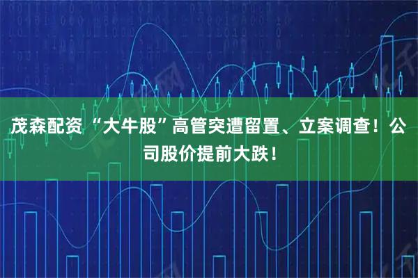 茂森配资 “大牛股”高管突遭留置、立案调查！公司股价提前大跌！