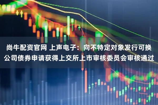 尚牛配资官网 上声电子：向不特定对象发行可换公司债券申请获得上交所上市审核委员会审核通过