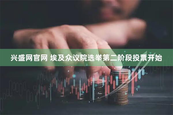 兴盛网官网 埃及众议院选举第二阶段投票开始